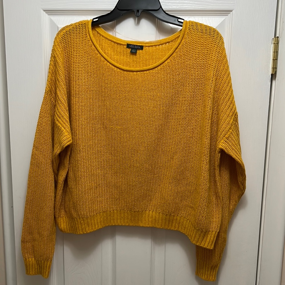 Wild Fable Women’s Large Cropped Sweater